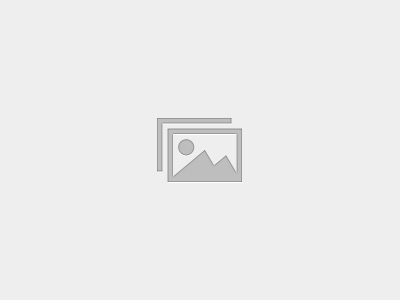 Content Writing